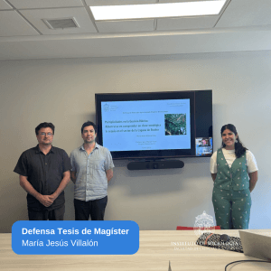 María Jesús Villalón, Magíster en Sociología por la Universidad Católica